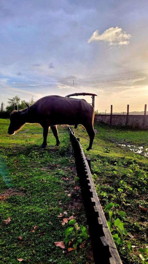 Pousada Marajoara- Hotel Fazenda-Turismo De Aventura Soure Dış mekan fotoğraf