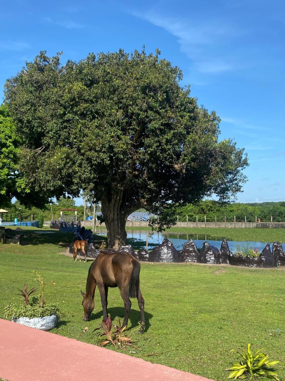 Pousada Marajoara- Hotel Fazenda-Turismo De Aventura Soure Dış mekan fotoğraf