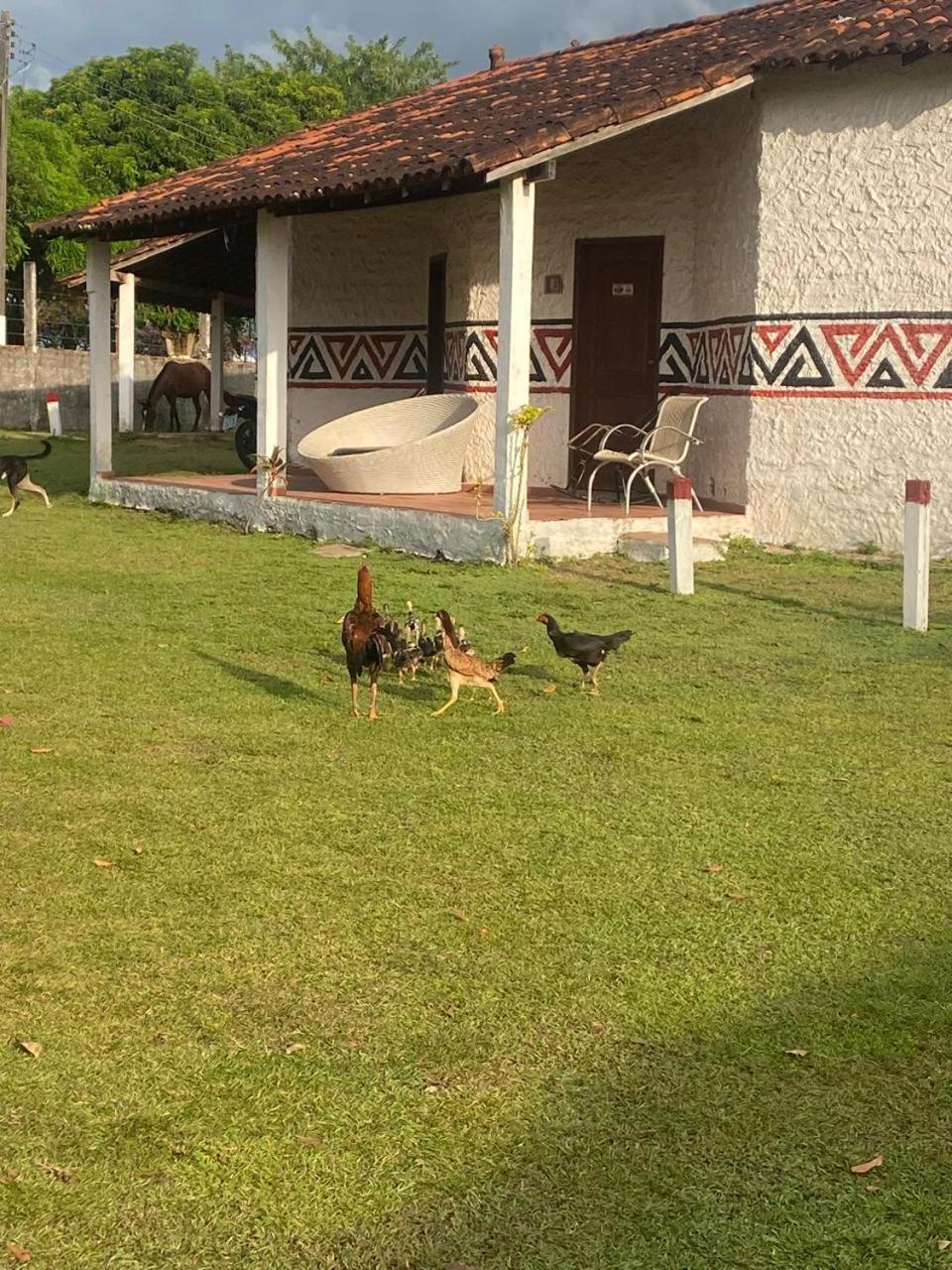 Pousada Marajoara- Hotel Fazenda-Turismo De Aventura Soure Dış mekan fotoğraf